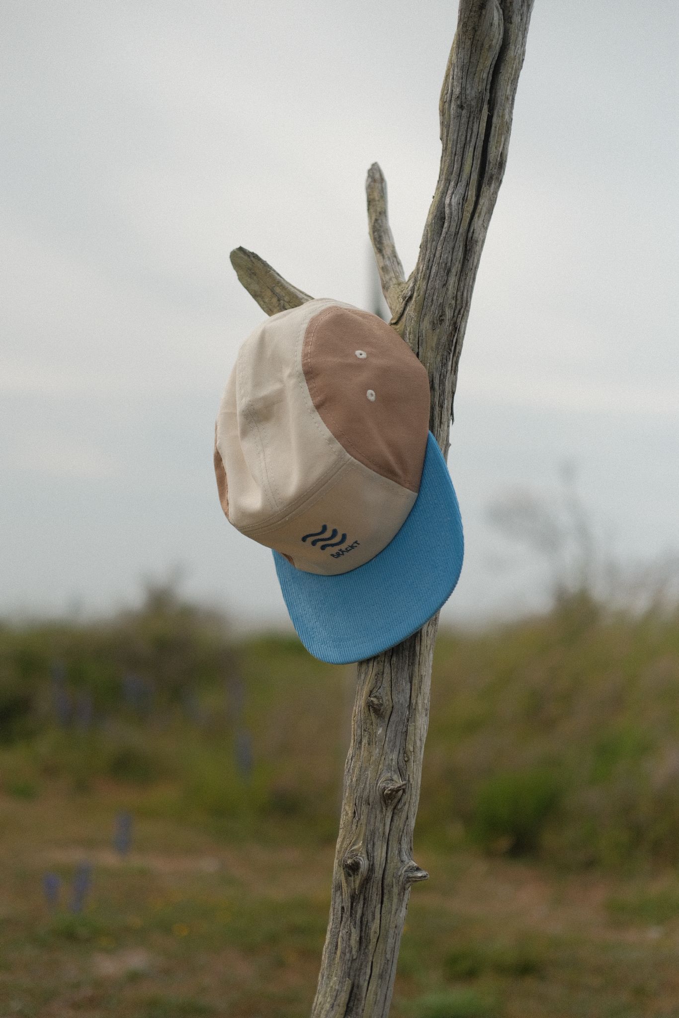 Keps 5 panel - Bräckt