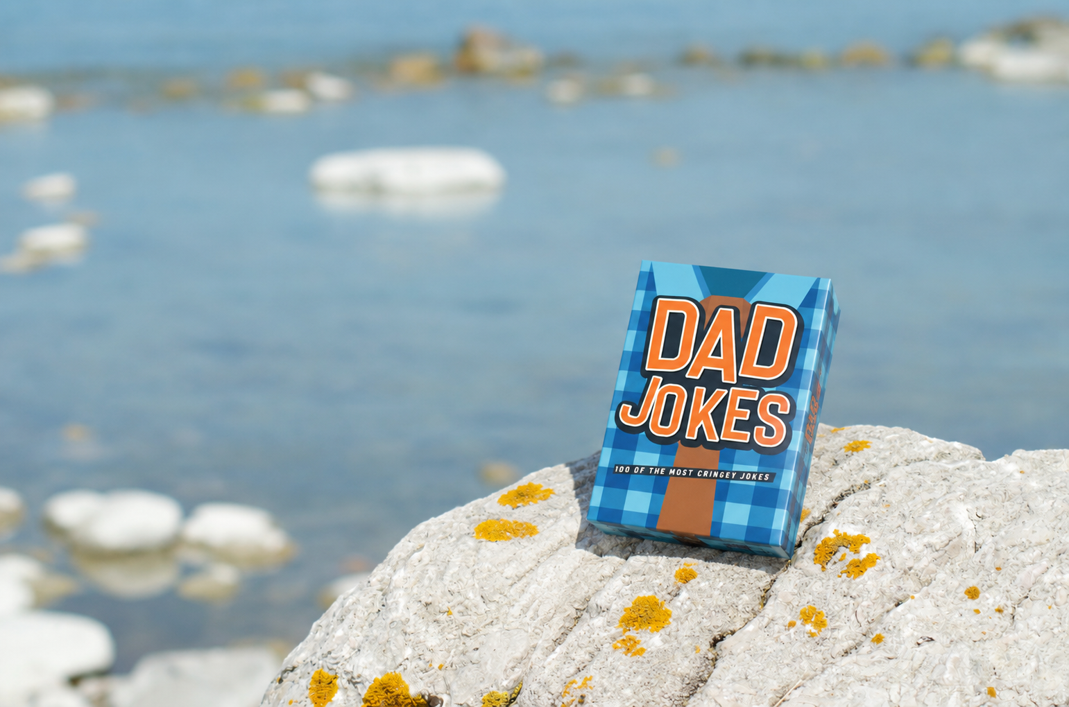 Spel - Dad Jokes