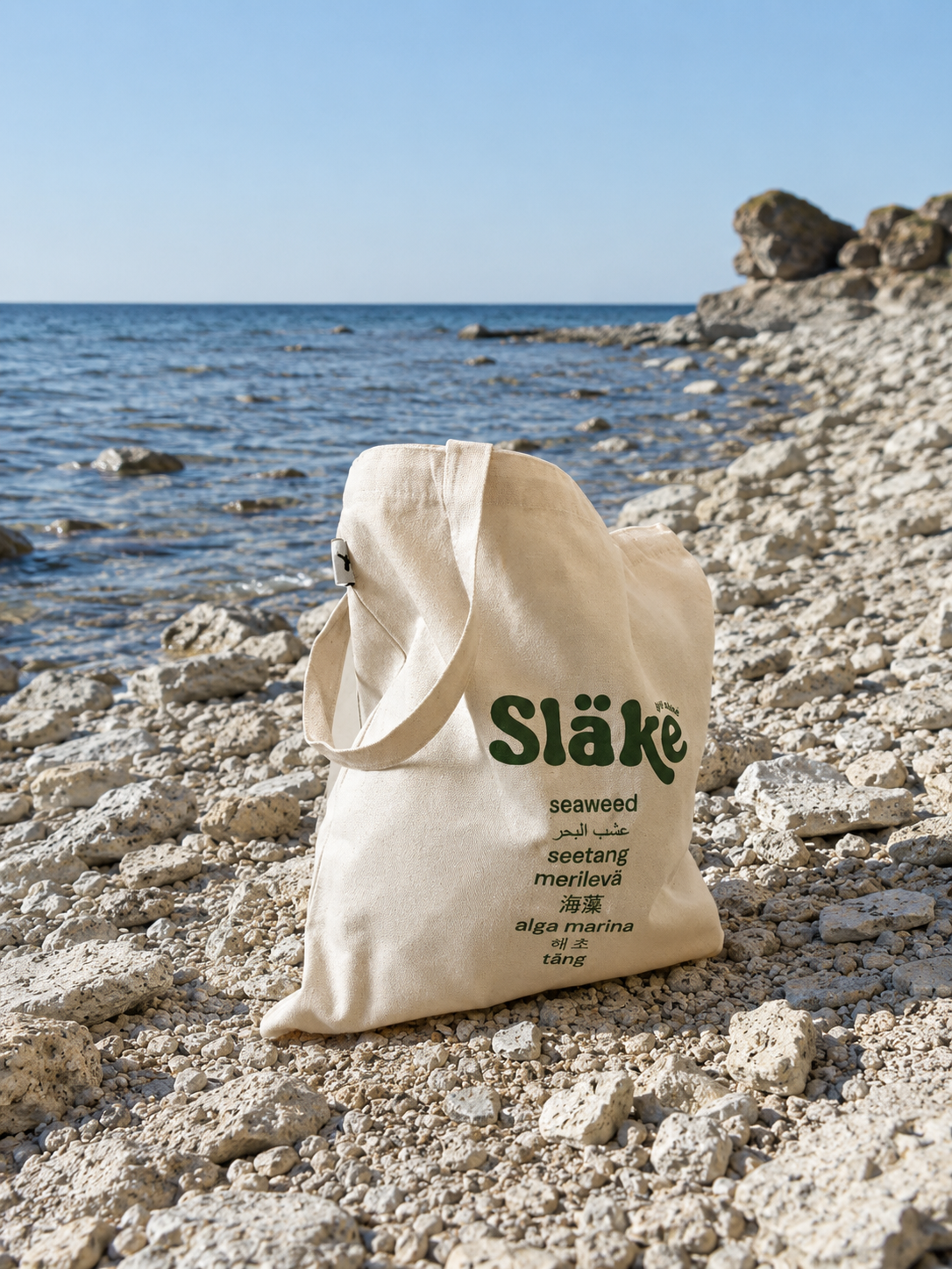 Tygväska Släke