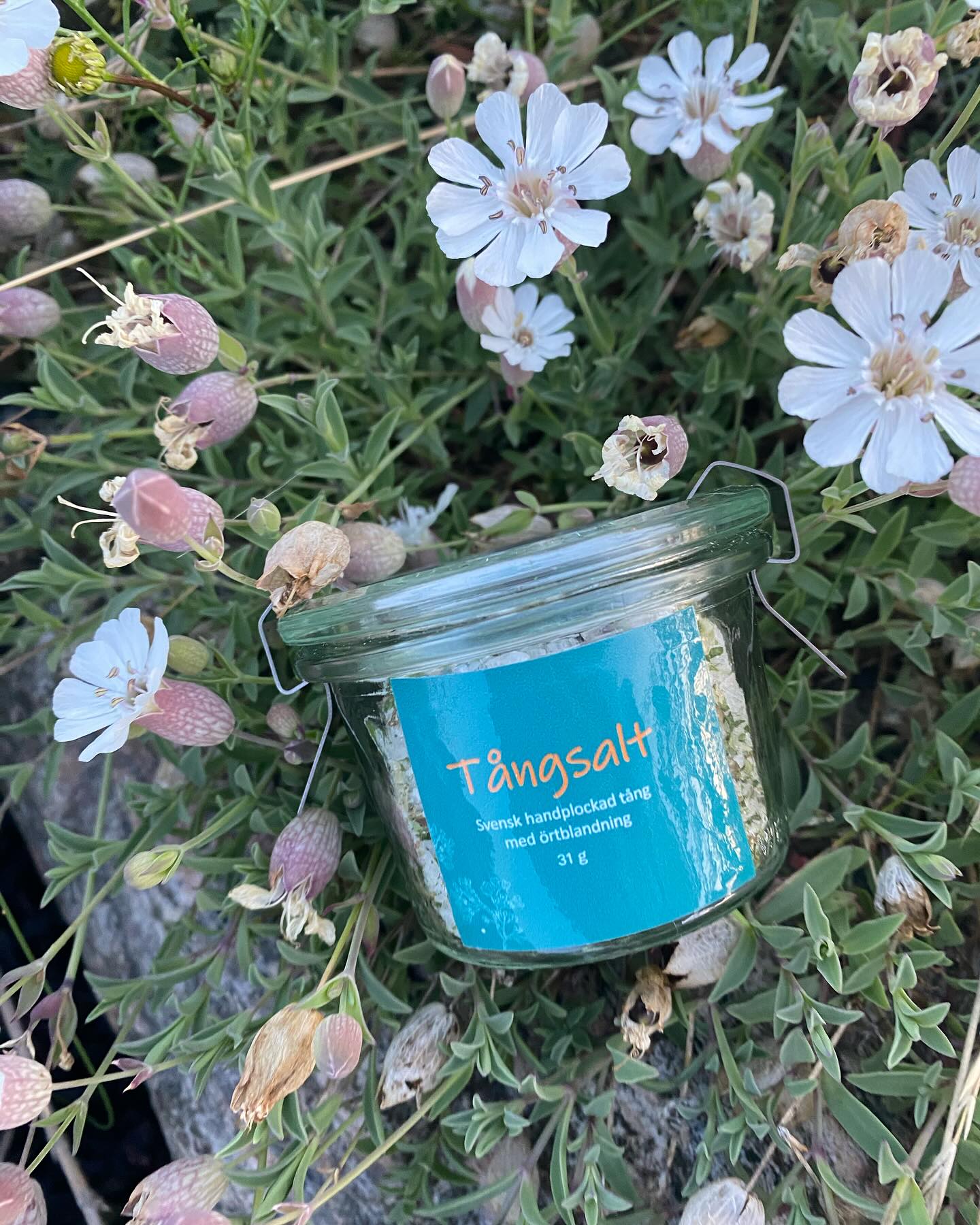 Tångkullan - Tångsalt, tångjuice och tångflingor-thumbmail-2